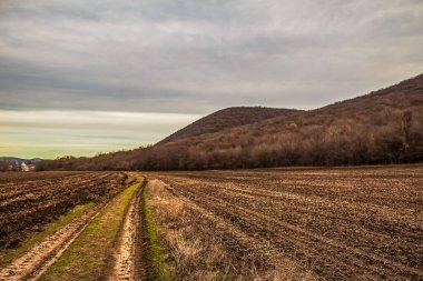Tarlada güzel bir gün batımı