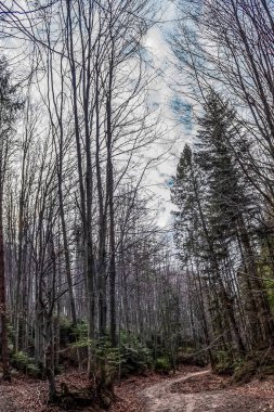 Dağların güzel manzarası