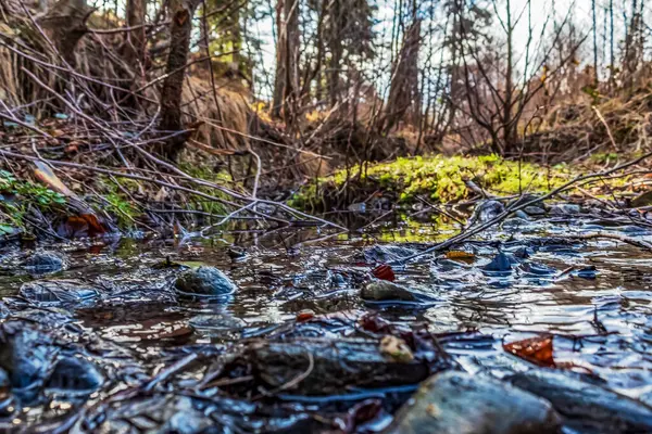 Ukrayna 'daki dağlarda bahar ormanı ve nehir