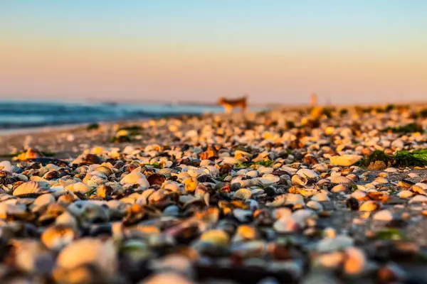 Sahilde güzel bir gün batımı