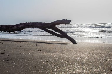 Doğanın güzel manzarası