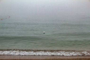 Yüzme havuzunda bir adam