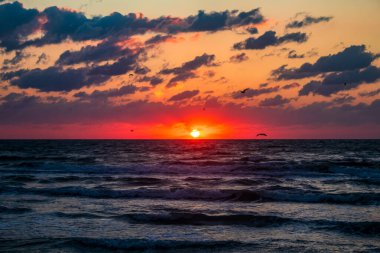 Denizde güzel bir gün batımı