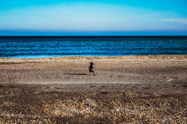 bir kumsalda yürüyen adam