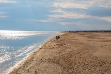 Sabah güneşinde deniz plajı