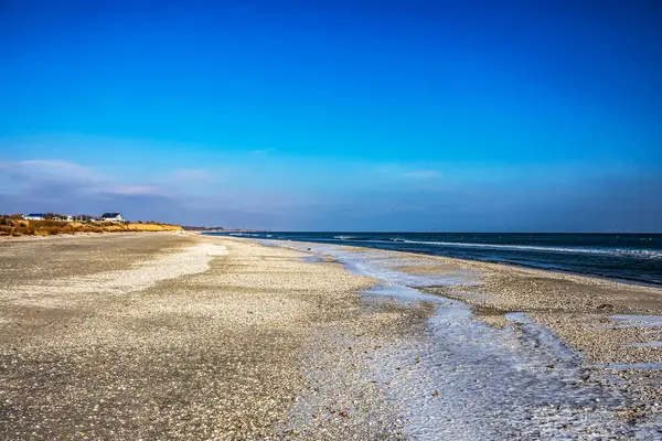 Baltık sahilinin güzel manzarası