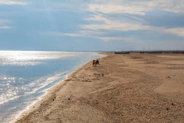 Sabah güneşinde deniz plajı