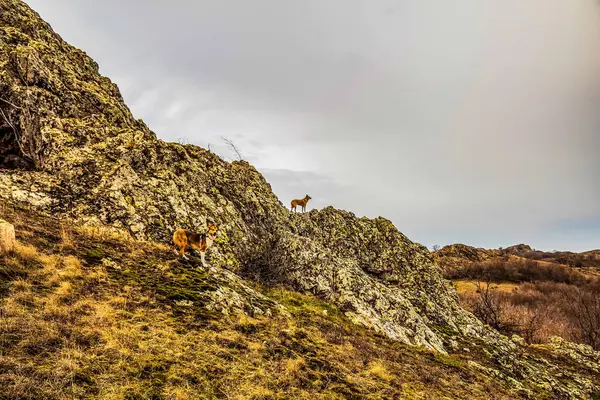 Dağ sırası olan güzel bir manzara.