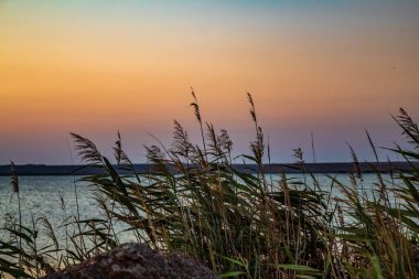 Gün batımında ağaçları ve otları olan güzel bir göl görüntüsü.