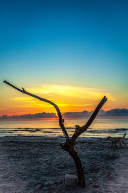 Kumsalda gün batımı