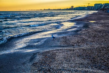 Deniz plajı ve gün batımı