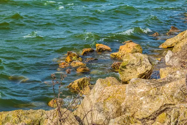 Deniz kıyısında. Denizin dalgaları.