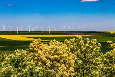 Buğday tarlası olan güzel bir manzara.