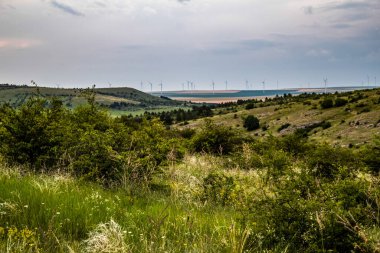 Rüzgar türbinleri sahada