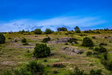 Yeşil çimenlerin dikey görüntüsü ve bulutlu arka planda mavi bir gökyüzü.