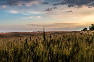 Günbatımında rüzgar türbinleri