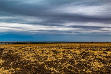 Denizin üzerinde güzel bir gün batımı. doğa arkaplanı