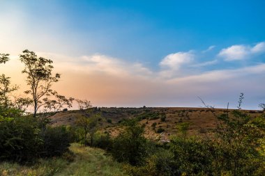Gün batımında güzel bir tarla görüntüsü.