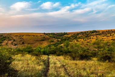 Ağaçların otlaklarından geçen toprak yol.