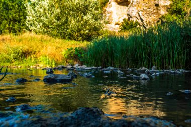 Dağ nehrinde güzel bir şelale. doğa arkaplanı