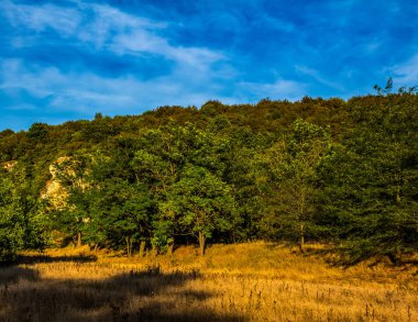 Ağacı ve dağı olan güzel bir manzara.