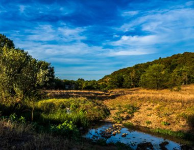 Gündüz vakti ormandaki bir nehrin dikey görüntüsü.