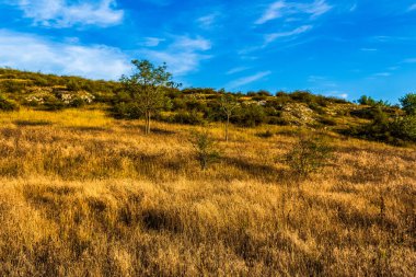 güzel yaz dağ manzarası.