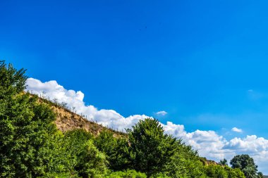 Bulutlu mavi gökyüzüne karşı yeşil ağaçlar