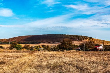 Bir saman tarlası, büyük bir buğday tarlası ve büyük bir ağacı olan bir manzara.