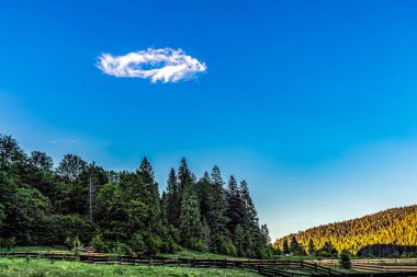 Nehir ve gölü olan güzel bir manzara.