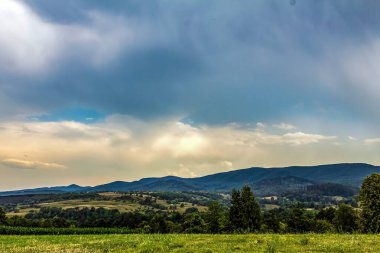 Bir tarlası ve bulutlu mavi gökyüzü olan güzel bir manzara.