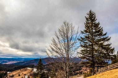 Karpat Dağları'nın güzel manzara