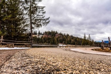 Kışın ormanda yol.