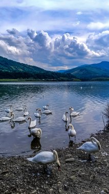 Dağlarda gölü olan güzel bir manzara.