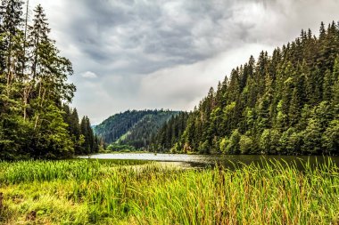 Göl ve dağ ormanları