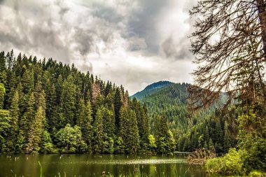 Güzel göl manzarası