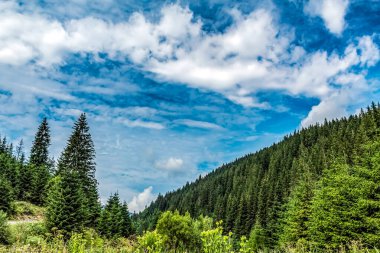 Dağları ve mavi gökyüzü olan güzel bir manzara.