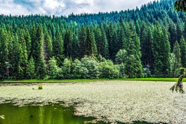 Dağlarda gölü olan güzel bir manzara.
