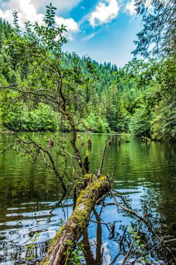 Doğanın güzel manzarası