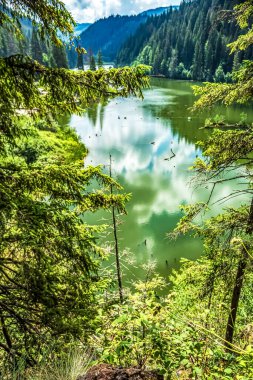 Alp Dağları 'ndaki güzel göl, Avusturya.