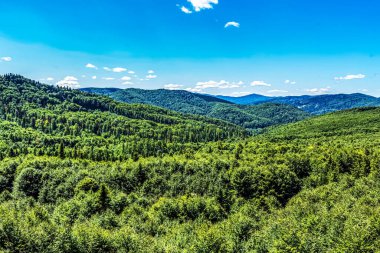Yeşil orman ve mavi gökyüzü olan dağ manzarası