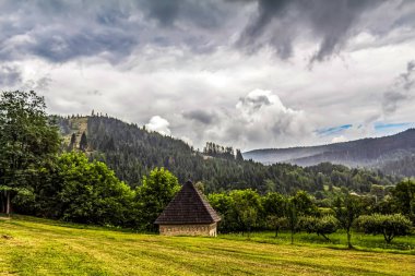 Yazın Karpat Dağları