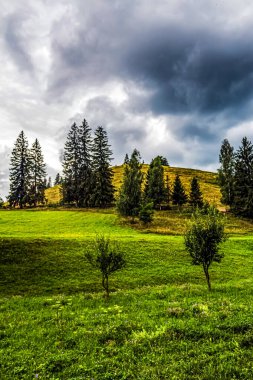 Bulutlu bir gökyüzünün altındaki yeşil bir tarlanın güzel bir görüntüsü.