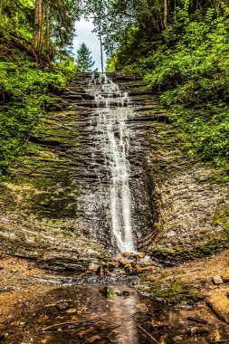 Ormandaki dağlarda kayalıklarda şelale