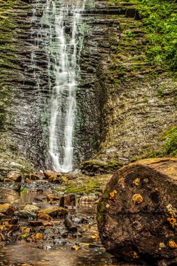 ormanda kayalar ile şelale