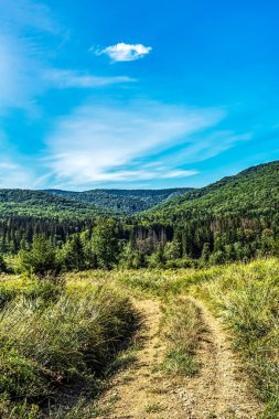 Bulutlu bir günde, ormandaki yeşil tepelerden geçen yol.