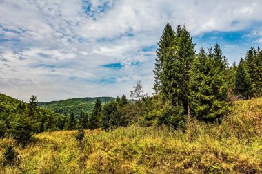 Karpat Dağları 'ndaki güzel manzara