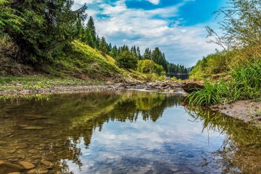 ormandaki nehir dağ