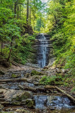 Ormandaki bir şelalenin dikey görüntüsü.