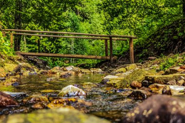 Ormandaki dereler, Karpatlar